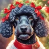 Black Dog Poodle Art Diamond Painting