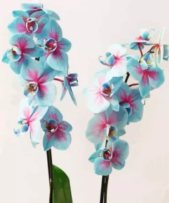 Blue And Pink Orchids Diamond Painting