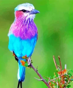 Blue And Purple Bird Diamond Painting