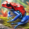 Blue And Red Frog Diamond Painting