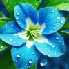 Blue And White Flower Diamond Painting