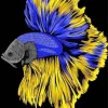 Blue Black And Yellow Fish Diamond Painting