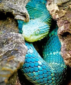 Blue Bush Viper Diamond Painting