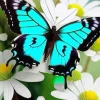 Blue Butterfly And Flower Diamond Painting
