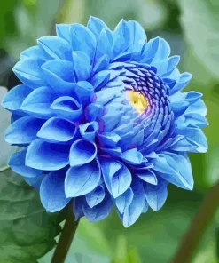 Blue Chrysanthemum Diamond Painting