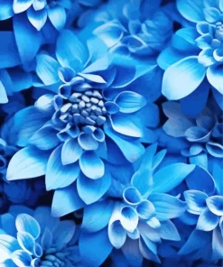 Blue Chrysanthemum Flowers Diamond Painting