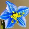 Blue Daffodil Diamond Painting