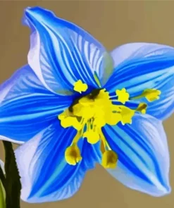 Blue Daffodil Diamond Painting