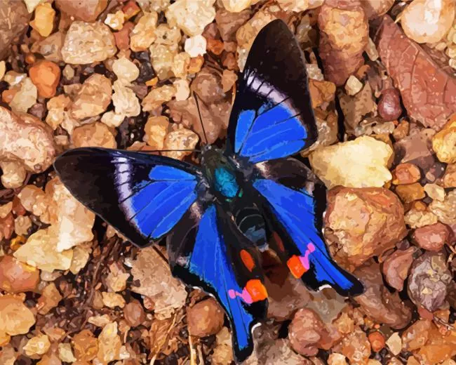 blue doctor butterfly Diamond Paintings Blue Doctor Butterfly Diamond Painting