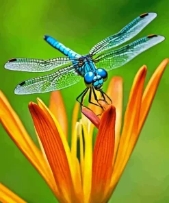 Blue Dragonfly On Orange Flower Diamond Painting