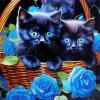 Blue Eyed Black Cats Diamond Painting