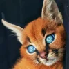 Blue Eyed Caracal Diamond Painting