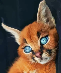 Blue Eyed Caracal Diamond Painting