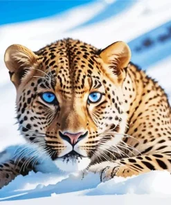 Blue Eyed Leopard In Snow Diamond Painting
