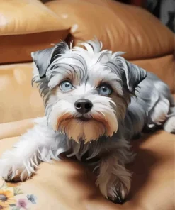 Blue Eyed Maltipoo Diamond Painting