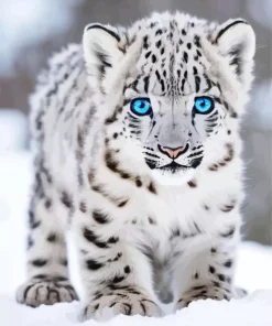 Blue Eyed Snow Leopard Diamond Painting