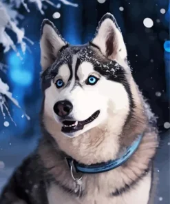 Blue Eyes Husky Diamond Painting