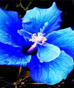 Blue Hawaiian Flower Diamond Painting