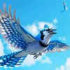 Blue Jay Bird Flying Diamond Painting