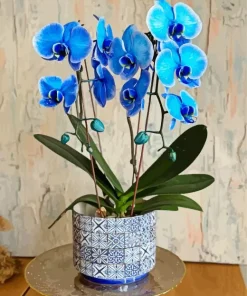 Blue Orchid Vase Diamond Painting