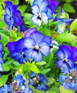 Blue Pansy Flowers Diamond Painting