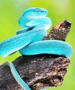 Blue Pit Viper Diamond Painting
