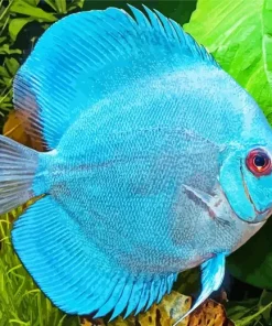 Blue Tropical Fish Diamond Painting