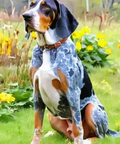 Bluetick Coonhound Dog Diamond Painting