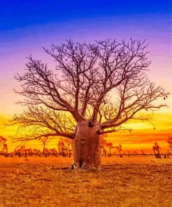 Boab Tree Diamond Painting
