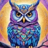 Bohemian Owl Diamond Painting