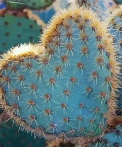 Cactus Heart Diamond Painting