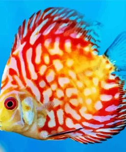 Discus Fish Art Diamond Painting