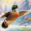 Duck Flying In The Sky Art Diamond Painting