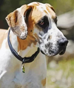 Fawnequin Great Dane Diamond Painting