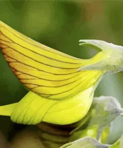 Green Birdflower Diamond Painting