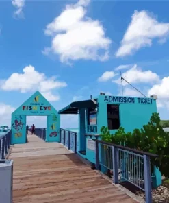 Guam Fish Eye Park Diamond Painting