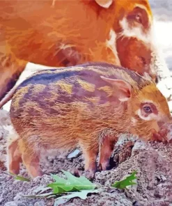 Hog Baby Animal Diamond Painting