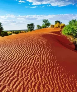 Kalahari Desert Diamond Painting