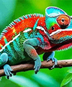 Panther Chameleon Diamond Painting