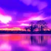 Purple Sunset Diamond Painting