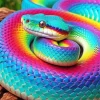 Rainbow Snake Diamond Painting
