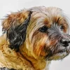 Tibetan Terrier Dog Diamond Painting