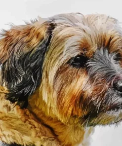 Tibetan Terrier Dog Diamond Painting
