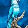 Blue Parrot Diamond Painting