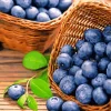 Blueberry Basket Diamond Painting