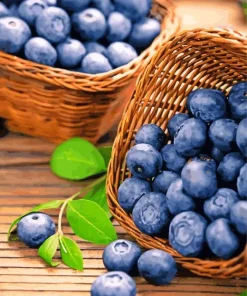 Blueberry Basket Diamond Painting