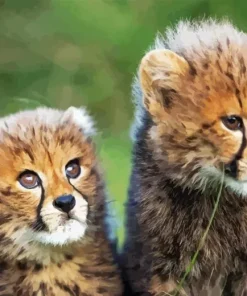 Cheetah Cubs Diamond Painting