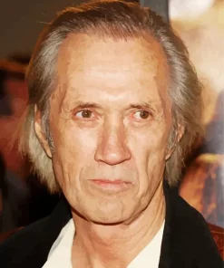 David Carradine Diamond Painting