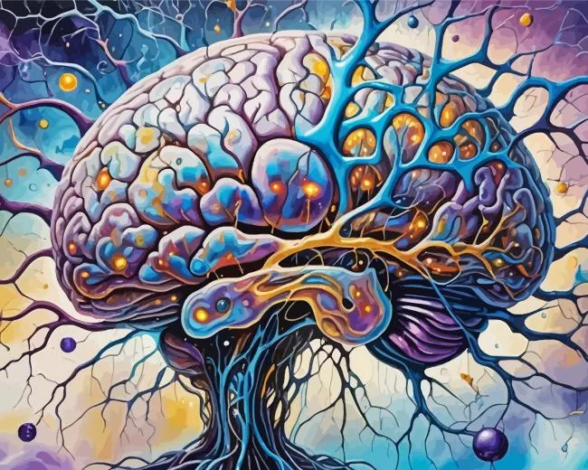 Human Brain Art Diamond By Numbers Human Brain Art Diamond Painting