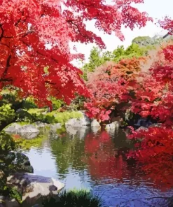 Kokoen Garden In Japan Diamond Painting